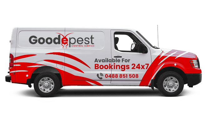 Goode Pest Van