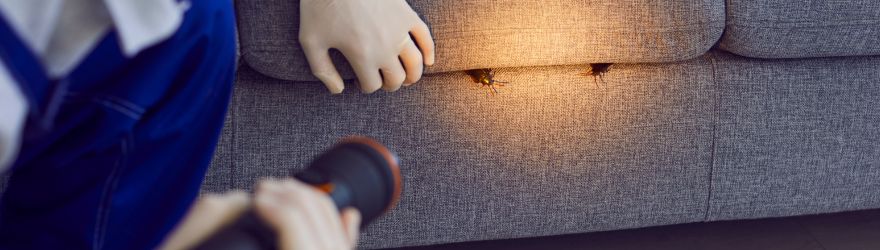 Finest Cockroach Control