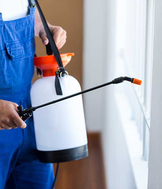 pest-control-services